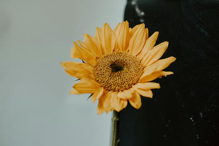 kelly-sikkema-YXWoEn5uOvg-unsplash.jpg